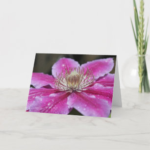Pink Clematis Flower Notecard