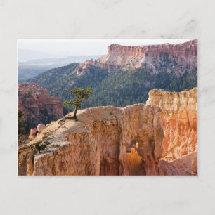 Pink Cliffs Postcard
