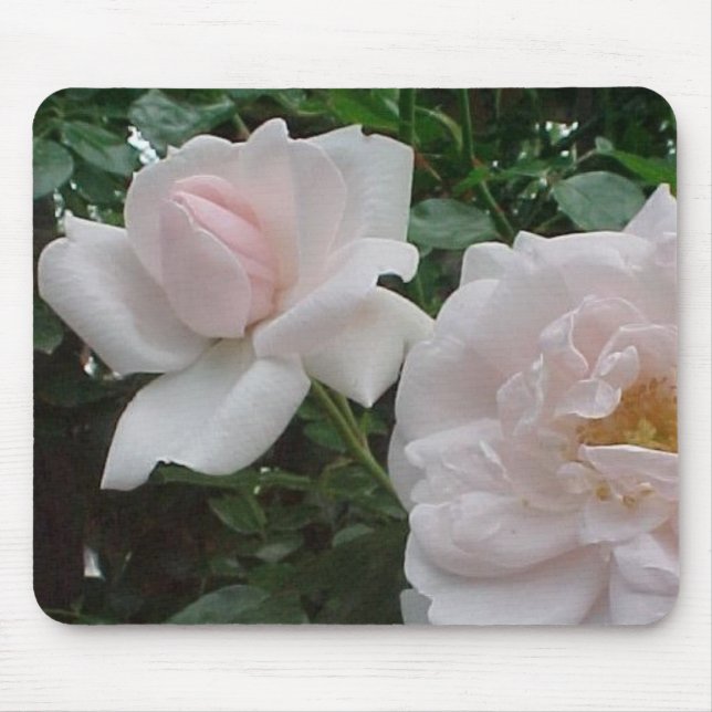 Pink Climbing Rose Mouse Pad (Front)