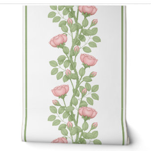 Pink Climbing Roses on white Wallpaper