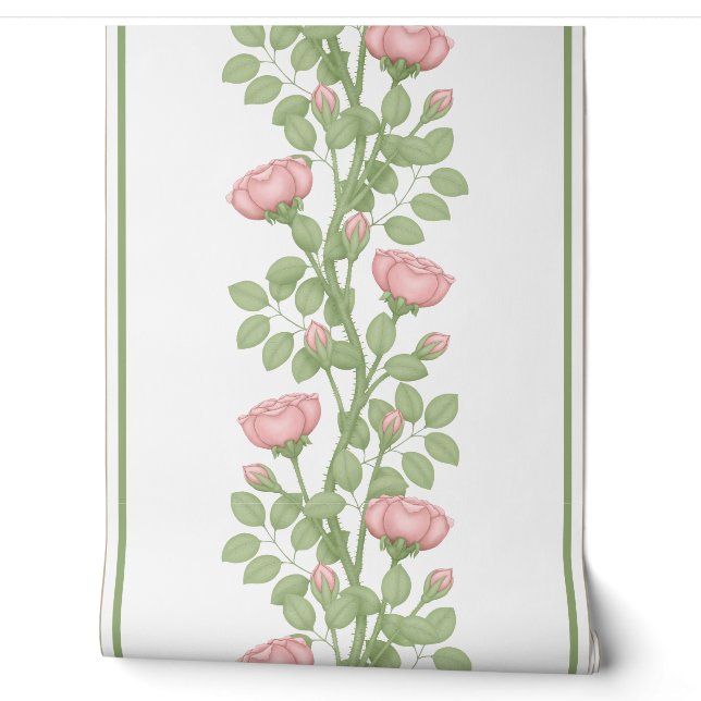 Pink Climbing Roses on white Wallpaper (Unrolling)