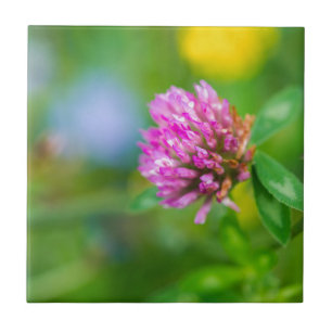 Pink clover flower tile