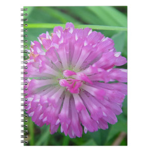 pink clover notebook