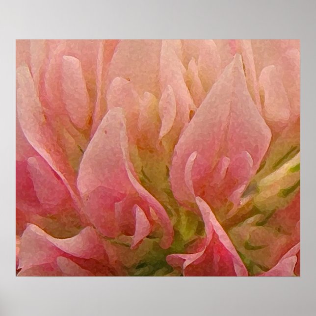 Pink Clover Poster (Front)