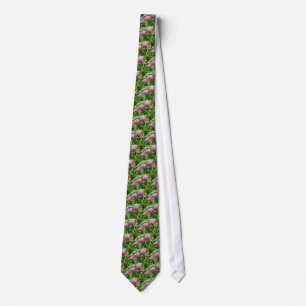 Pink Clover Wildflower - Trifolium pratense Tie