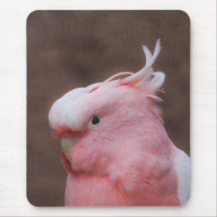 Pink Cockatoo  Mouse Pad