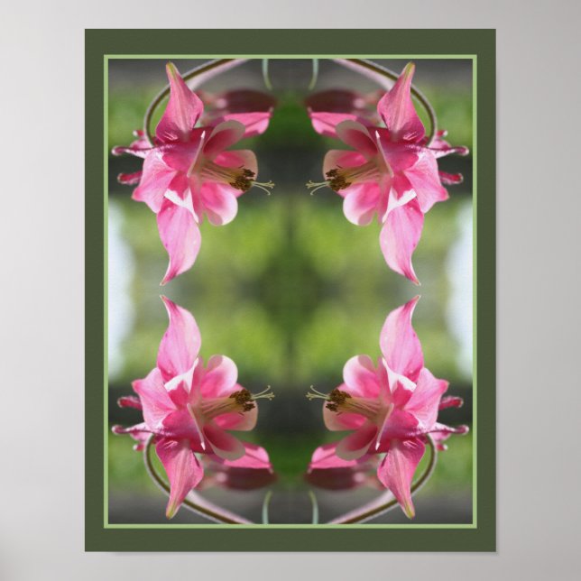 Pink Columbine Flower Close Up Abstract Poster (Front)