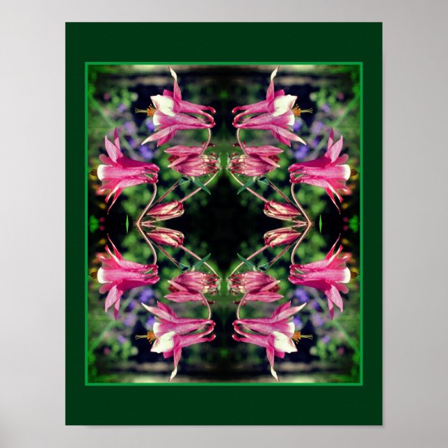 Pink Columbine Flowers Close Up Abstract  Poster (Front)