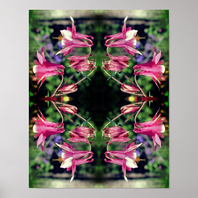 Pink Columbine Flowers Close Up Abstract  Poster (Front)