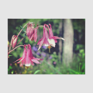 Pink Columbine Flowers Close Up Decoupage Tissue Paper