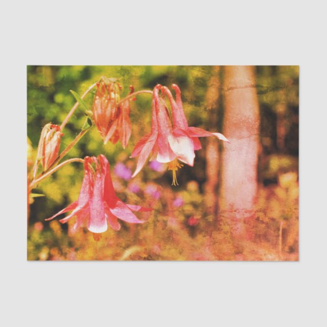 Pink Columbine Flowers Vintage Decoupage  Tissue Paper (Front)