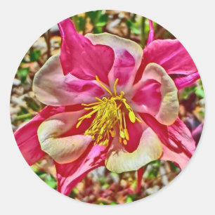 Pink columbine stickers