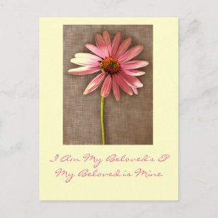 Pink Cone Flower -I am My Beloved's and My Beloved Postcard