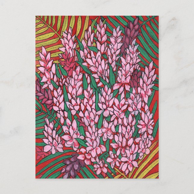 Pink Cone Ginger Alpinia Tropical Flowers Floral Postcard (Front)