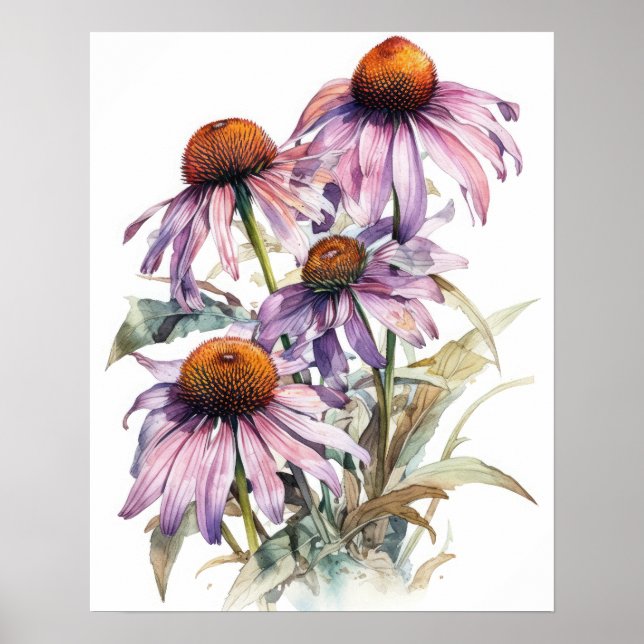 Pink Coneflower Flower Art Print Poster (Front)
