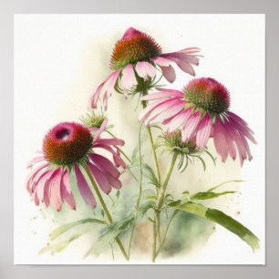 Pink Coneflowers Art Print Poster