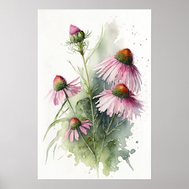 Pink Coneflowers Art Print Poster (Front)