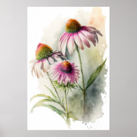Pink Coneflowers Art Print Poster