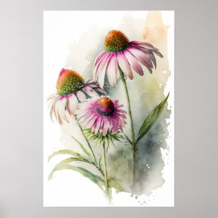 Pink Coneflowers Art Print Poster
