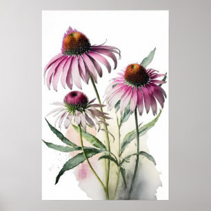 Pink Coneflowers Art Print Poster