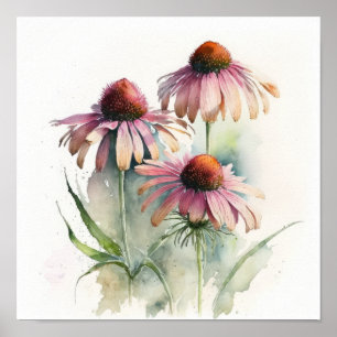 Pink Coneflowers Art Print Poster