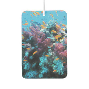 Pink Coral with Orange Fish Car Air Freshener