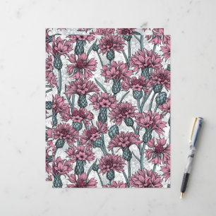 Pink cornflowers, wild flowers on white