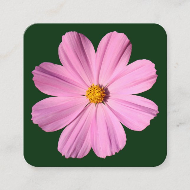 Pink Cosmos - Dark Green Square Business Card (Front)