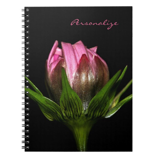 Pink Cosmos Flower With Name Notebook (Front)
