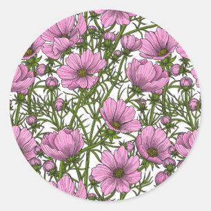 Pink Cosmos flowers Classic Round Sticker