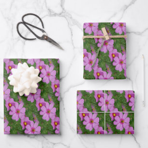 Pink Cosmos Flowers Nature Pattern  Wrapping Paper Sheet