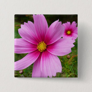 Pink Cosmos Flowers Wildflower 15 Cm Square Badge
