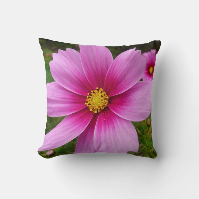 Pink Cosmos Flowers Wildflower Cushion (Front)