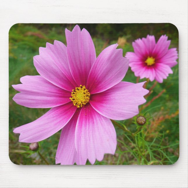 Pink Cosmos Flowers Wildflower Mouse Pad (Front)