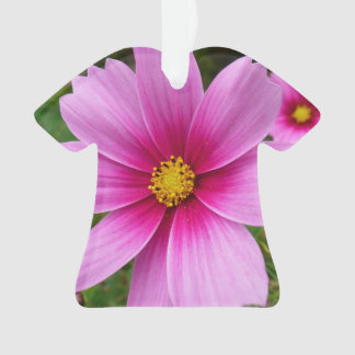 Pink Cosmos Flowers Wildflower Ornament