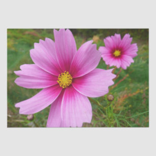 Pink Cosmos Flowers Wildflower Tissue Paper