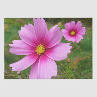 Pink Cosmos Flowers Wildflower Tissue Paper