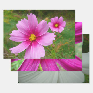 Pink Cosmos Flowers Wildflower Wrapping Paper Sheet