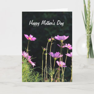 Pink Cosmos Mother's Day Card