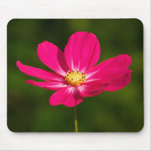 Pink Cosmos Mouse Pad