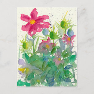 Pink Cosmos Nigella Flower Garden Watercolor Postcard