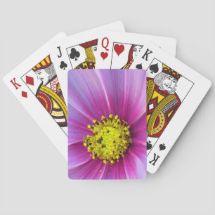 Pink Cosmos Playing Cards