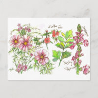 Pink Cosmos Snapdragon Flowers Sketch
