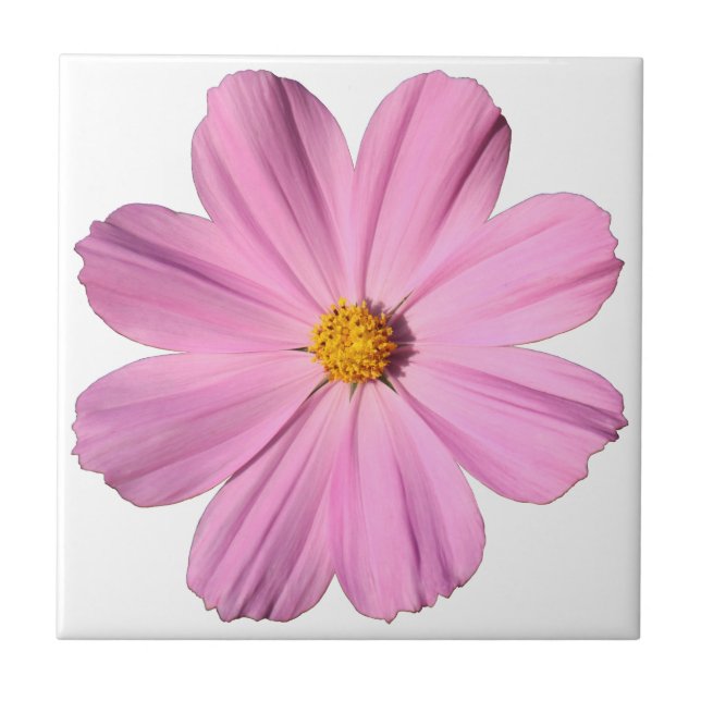 Pink Cosmos Tile (Front)