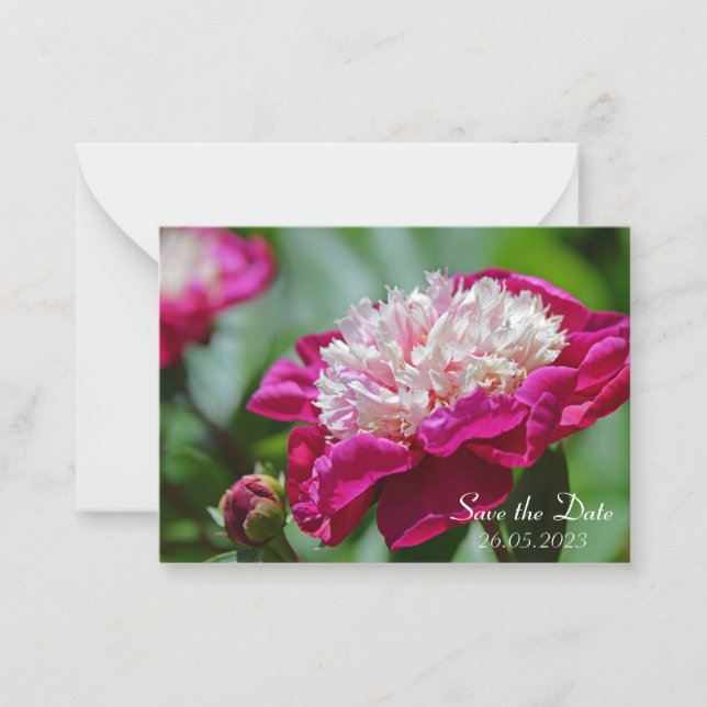 Pink Cottage Peony Botanical Flower  Card (Front)
