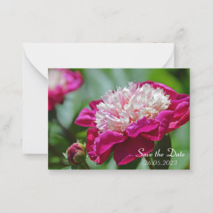 Pink Cottage Peony Botanical Flower Card