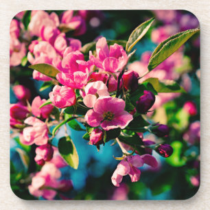 Pink Crab Apple Flowers Coaster