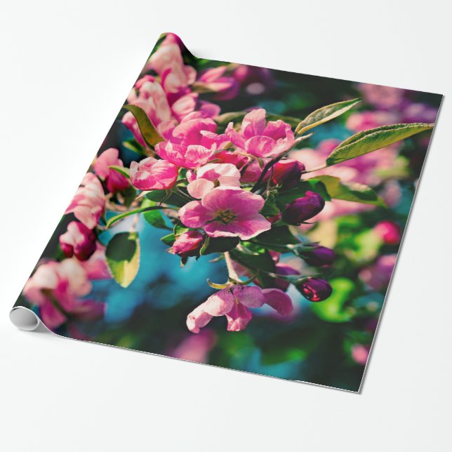 Pink Crab Apple Flowers Wrapping Paper (Unrolled)