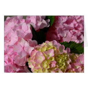 Pink Cream Hydrangeas yellow pink green floral