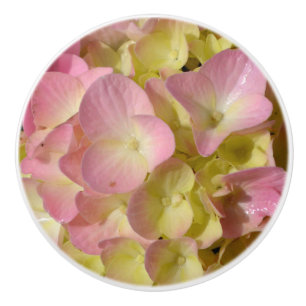 Pink Cream Hydrangeas yellow pink green floral Ceramic Knob